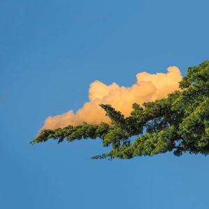 人与另类Z0Z❌❌XHD
